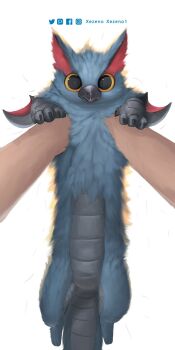 Rule 34 | 1other, arm blade, artist name, blue fur, creature, creature focus, dragon, facebook username, highres, holding, holding creature, instagram username, longcat (meme), looking at viewer, meme, monster hunter (series), nargacuga, pixiv username, pov, pov hands, red fur, tail, twitter username, weapon, white background, winged arms, wings, wyvern, xezeno, yellow eyes