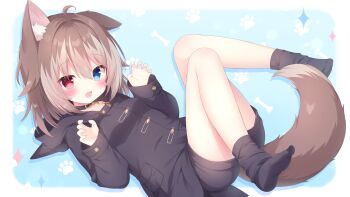 1girl :d ahoge animal_ear_fluff animal_ears black_hoodie black_shorts black_socks blue_background blue_eyes blush brown_hair commentary_request commission dog_ears dog_girl dog_tail fang full_body hasuki_rui heterochromia highres hood hood_down hoodie indie_virtual_youtuber long_sleeves looking_at_viewer lying nekoboshi_yuki on_back open_mouth red_eyes short_hair short_shorts shorts skeb_commission skin_fang smile socks solo tail virtual_youtuber