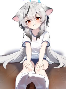 1girl absurdres animal_ears black_hair black_streaks blue_archive blue_halo blush buruma collarbone commentary_request dot_nose feet floppy_ears grey_hair grin gym_uniform hair_between_eyes halo hands_on_own_legs highres kokona_(blue_archive) koroyarou loli long_hair looking_at_viewer multicolored_hair on_floor shirt short_sleeves sidelocks smile socks soles solo streaked_hair sweat teeth thighs tilted_head very_long_hair wet wet_clothes white_shirt white_socks wooden_floor