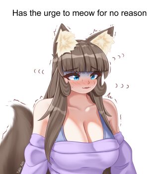 Rule 34 | 1girl, animal ear fluff, animal ears, bare shoulders, blue eyes, blunt bangs, blush, breasts, brown hair, cat ears, cat girl, cleavage, fluffy, highres, large breasts, long hair, meme, nervous, nervous sweating, original, shaking, sweat, sweatdrop, sweater, tail, takie, takie arts, text focus, very long hair, white background