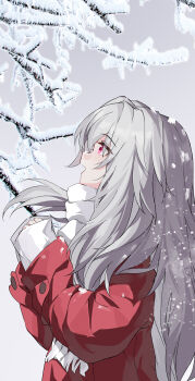 Rule 34 | 1girl, absurdres, clara (honkai: star rail), evzeva, grey hair, highres, honkai: star rail, honkai (series), jacket, long hair, long sleeves, open mouth, pink eyes, red jacket, scarf, smile, snow, solo, white scarf