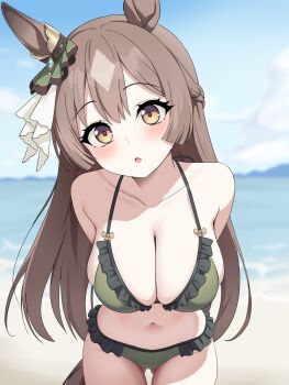 1girl absurdres animal_ears arms_behind_back bare_shoulders beach bikini blue_sky blush braid breasts brown_eyes brown_hair cloud collarbone double-parted_bangs ear_ornament gluteal_fold green_bikini hair_between_eyes half_up_braid half_updo highres horse_ears horse_girl horse_tail large_breasts long_hair looking_at_viewer multicolored_hair ocean open_mouth outdoors parted_lips satono_diamond_(umamusume) sky solo streaked_hair swimsuit tail umamusume very_long_hair water zhanderlul