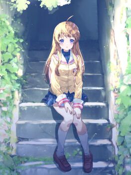 Rule 34 | 1girl, :o, ahoge, akayama yukihe, blazer, blue eyes, blue skirt, blush, brown hair, brown shoes, clannad, commentary request, dappled sunlight, day, full body, hands on own thighs, highres, hikarizaka private high school uniform, jacket, kneehighs, knees together feet apart, loafers, long hair, long sleeves, looking at viewer, miniskirt, miyazawa yukine, open mouth, outdoors, pleated skirt, sailor collar, school uniform, shoes, sidelighting, sidelocks, sitting, sitting on stairs, skirt, socks, solo, stairs, sunlight, turtleneck, white sailor collar, white socks, yellow jacket