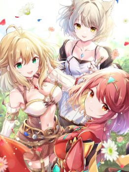 3girls breasts cat_girl fiora_(xenoblade) highres large_breasts mio_(xenoblade) multiple_girls pyra_(xenoblade) short_hair ui_frara xenoblade_chronicles_(series) xenoblade_chronicles_1 xenoblade_chronicles_2 xenoblade_chronicles_3