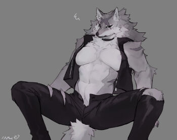 1girl areola_slip bebebe black_pants black_sclera body_fur breasts colored_sclera cross_scar female_focus furry furry_female grey_background grey_fur grey_hair highres large_breasts muscular muscular_female navel open_clothes open_fly open_vest original pants scar scar_across_eye scar_on_face scar_on_forehead simple_background solo squiggle toned toned_female torn_clothes torn_pants vest wachhund_(bebebe) wolf_girl