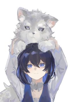 1girl absurdres animal animal_on_head black_hair blue_eyes blue_hair blue_vest chinese_commentary closed_mouth collar colored_inner_hair commentary_request detached_collar dress_shirt eyelashes hair_between_eyes happy highres honkai_(series) honkai_impact_3rd light_blush long_sleeves medium_hair multicolored_hair on_head seele_vollerei shirt simple_background smile solo straight-on upper_body vest white_background white_collar white_shirt wolf wolf_cub zha_ha