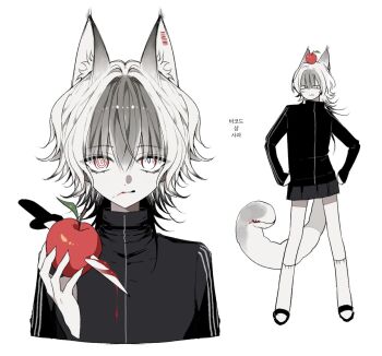 1girl animal_ears apple black_jacket cat_ears cat_girl cat_tail dmdrk_(ha_ha) food fruit full_body grey_hair hands_on_own_hips holding holding_food holding_fruit jacket knife multiple_views original ringed_eyes short_hair simple_background skirt tail white_background white_eyes white_hair