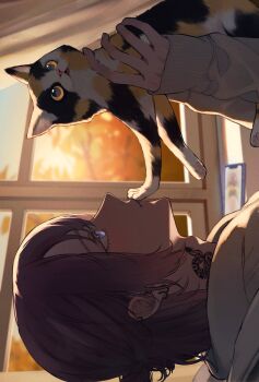 Rule 34 | 1boy, adam's apple, animal, black cat, cat, closed mouth, commentary request, earrings, from side, hair up, hands up, highres, holding, holding animal, holding cat, indoors, inukai (inusuki oc), jewelry, light blush, long hair, long sleeves, looking at animal, multicolored cat, multicolored hair, neck tattoo, orange eyes, orange hair, original, phone, purple eyes, purple hair, sleeves past wrists, snake tattoo, solo, streaked hair, sweater, tattoo, white sweater, yellow cat