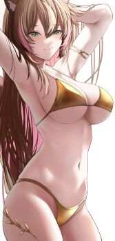 Rule 34 | 1girl, absurdres, animal ears, armlet, armpits, arms up, ayunda risu, bikini, breasts, brown hair, closed mouth, gold armlet, gold bikini, green eyes, highres, hololive, hololive indonesia, jewelry, large breasts, long hair, multicolored hair, navel, pink hair, si farid, simple background, smile, solo, squirrel ears, squirrel girl, squirrel tail, stomach, streaked hair, swimsuit, tail, very long hair, virtual youtuber, wet, white background