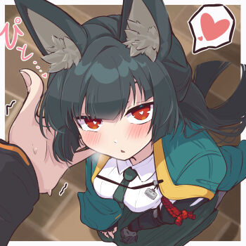 1boy 1girl animal_ear_fluff animal_ears aqua_jacket aqua_necktie black_hair blush cashew_0_dgren fox_ears gauntlets green_hakama hakama headpat heart heart-shaped_pupils hetero highres hoshimi_miyabi jacket japanese_clothes necktie nervous_sweating pov pov_hands red_eyes shirt single_gauntlet solo_focus spoken_heart sweat symbol-shaped_pupils trembling white_shirt wise_(zenless_zone_zero) zenless_zone_zero