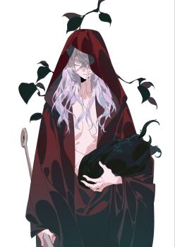 Rule 34 | 1girl, acell1224, cowboy shot, full body, highres, holding, hollow knight, hollow knight: silksong, hornet (hollow knight), looking at viewer, needle (hollow knight), personification, red veil, simple background, solo, stitches, twisted bud (hollow knight), veil, white background, white eyes, white hair