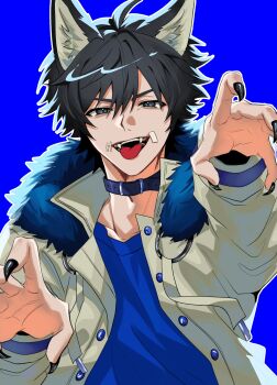 1boy ahoge belt_collar black_eyes black_hair black_nails blue_background blue_shirt buttons cheese_hr claw_pose collar commentary fangs fur_trim hair_between_eyes high_collar highres identity_v jacket kemonomimi_mode male_focus naib_subedar naib_subedar_(oph.naib) o-ring shirt short_hair simple_background solo stitched_mouth stitches tongue tongue_out white_jacket
