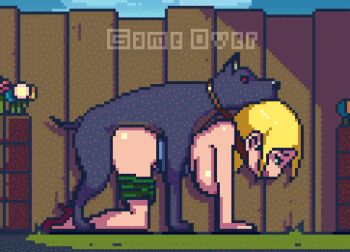 1boy 1girl animal_penis animated animated_gif bestiality blonde_hair bouncing_breasts breasts breasts_out closed_eyes collar cum cum_in_pussy defeat dog doggystyle ejaculation erection fence game_over high_heels lowres mega_blue_ball morning nipples no_bra no_panties open_mouth original outdoors penis pixel_art rape sex sex_from_behind tank_top vaginal white_tank_top wooden_fence