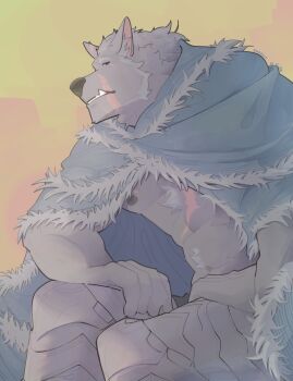 1boy abs animal_ears bara black_fur blaidd_the_half-wolf blue_cape cape commentary dododoonut elden_ring english_commentary fangs fangs_out fur_cape furry furry_male highres leg_armor looking_at_another male_focus muscular muscular_male navel nipples pectorals scar scar_on_chest scar_on_face sitting wolf_boy wolf_ears