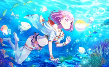 Rule 34 | 1girl, barefoot, bikini, bracelet, breasts, cleavage, colorful palette, coral, drawstring, fish hair ornament, full body, game cg, hair ornament, highres, hood, hooded jacket, jacket, jewelry, kitto saikou no summer! (project sekai), official alternate costume, official art, ootori emu, pink bikini, pink eyes, pink hair, project sekai, see-through clothes, see-through jacket, shell, shell hair ornament, solo, submerged, swimsuit, thigh strap, third-party source, water drop, white jacket