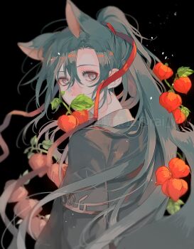 1boy amana_raika animal_ears bishounen black_background black_hanfu blurry chinese_clothes commentary_request eyelashes food fox_boy fox_ears fox_tail from_behind fruit grey_eyes hair_between_eyes hair_ribbon hanfu highres kemonomimi_mode leaf light_particles long_hair long_sleeves looking_at_viewer looking_back male_focus modao_zushi mouth_hold ponytail red_ribbon ribbon robe sidelocks simple_background solo tail twitter_username upper_body very_long_hair watermark wei_wuxian