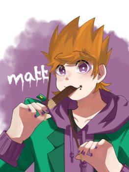 Rule 34 | 1boy, :3, animification, bad id, bad twitter id, bright pupils, character name, drawstring, eddsworld, food, food in mouth, green jacket, hair behind ear, holding, holding food, hood, hood down, hoodie, jacket, jpeg artifacts, long sleeves, looking at viewer, male focus, matt (eddsworld), open clothes, open jacket, orange hair, pocky, purple eyes, purple hoodie, purple nails, short hair, simple background, smile, solo, spiked hair, teru (teru 0705m), upper body, white pupils