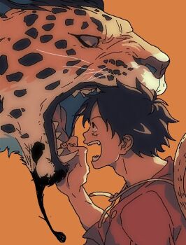 Rule 34 | 2boys, animalization, beard, black hair, cat, commentary request, eye contact, facial hair, goatee, hand in another's mouth, hat, korean commentary, leopard, leopard boy, looking at another, male focus, monkey d. luffy, multiple boys, one piece, open mouth, orange background, profile, red shirt, rideaboat, rob lucci, scar, scar on face, sharp teeth, shirt, short sleeves, simple background, spotted fur, straw hat, teeth, tongue, unworn hat, unworn headwear, upper body, whiskers