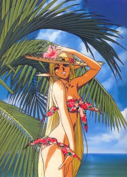 Rule 34 | 1990s (style), bikini, blonde hair, breasts, cleavage, deedlit, elf, floral print, hanken, pointy ears, record of lodoss war, shitajiki, smile, swimsuit, yuuki nobuteru