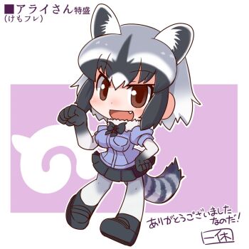 Rule 34 | 1girl, animal ears, bow, bowtie, brown eyes, commentary request, common raccoon (kemono friends), elbow gloves, extra ears, full body, gloves, grey hair, ikkyuu, japari symbol, kemono friends, looking at viewer, pantyhose, purple background, raccoon ears, raccoon girl, raccoon tail, shirt, shoes, short hair, simple background, skirt, solo, tail