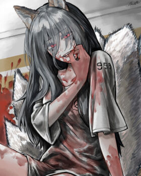 1girl absurdres animal_ears artist_name biting_own_finger blood blood_on_clothes blood_on_face blood_splatter fox_ears fox_girl fox_tail grey_hair grey_shirt hand_up highres kitsune kyuubi long_hair looking_at_viewer m4skedboi multiple_tails open_mouth red_eyes scp-953 scp_foundation sharp_teeth shirt short_sleeves signature solo tail teeth