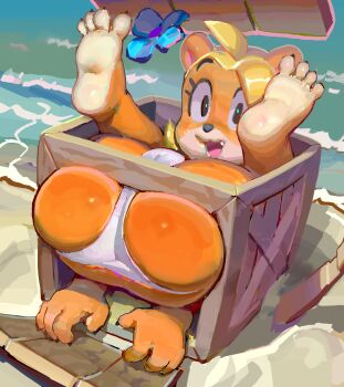 1girl :d ahoge animal_nose ass barefoot beach bikini blonde_hair box cameltoe coco_bandicoot crash_bandicoot_(series) furry furry_female gumdrops_(aea) highres knees_to_chest legs_up looking_ahead open_mouth orange_fur outdoors sand shore skindentation smile soles solo stuck swimsuit water white_bikini yellow_fur