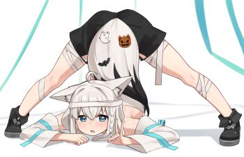 1girl ahoge animal_ear_fluff animal_ear_piercing animal_ears ankle_boots arched_back bandages bat_ornament black_boots black_shorts blue_eyes blush boots braid breasts commentary detached_sleeves double-parted_bangs embarrassed flexible flower-shaped_pupils fold-over_boots fox_ears fox_girl fox_tail fubuzilla_(shirakami_fubuki) full_body grey_hair hair_between_eyes halloween hands_on_ground highres hololive jack-o'-lantern_ornament jack-o'_challenge long_hair looking_at_viewer medium_breasts no_legwear open_mouth paid_reward_available shirakami_fubuki shirakami_fubuki_(1st_costume) short_shorts shorts side_braid sideboob solo spread_legs standing strapless symbol-shaped_pupils tail tail_ornament tearing_up top-down_bottom-up tube_top virtual_youtuber white_sleeves white_tube_top wide_sleeves wide_spread_legs woogi_(duguddnr)