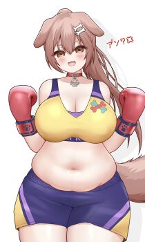 1girl :3 anger_vein animal_ears belly belt_collar blush bone_hair_ornament boxing_gloves boxing_shorts brown_eyes brown_hair choker collar dog_ears dog_girl dog_tail fangs floppy_ears gym_shorts hair_ornament highres hololive inugami_korone japanese_text long_hair mochigomemcmc muffin_top navel paw_pendant pendant_choker plump ponytail purple_shorts red_choker short_shorts shorts smile solo sports_bra standing tail virtual_youtuber white_background wide_hips yellow_sports_bra