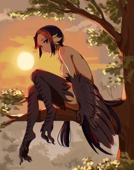 1girl absurdres animal_ears bird_ears bird_legs bird_tail black_eyes black_feathers black_hair black_wings breasts commentary english_commentary feathers harpy highres looking_at_viewer medium_breasts monster_girl multicolored_hair nude original outdoors parted_bangs red_hair short_hair sitting_on_branch solo sunset tail talons tree two-tone_hair unreal_fish wings