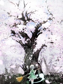 Rule 34 | 1girl, black bow, bow, broom, cherry blossoms, commentary request, falling petals, from behind, green skirt, green vest, grey hair, hair bow, highres, hitodama, holding, holding broom, katana, konpaku youmu, konpaku youmu (ghost), nekoita, outdoors, petals, plant, plant focus, scenery, sheath, sheathed, shirt, short hair, skirt, skirt set, solo, standing, sword, sword on back, touhou, tree, vest, weapon, weapon on back, white shirt