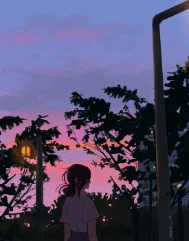 1girl artist_name black_hair chainsaw_man commentary_request dusk from_behind highres lamppost medium_hair null_(skev7724) outdoors ponytail profile reze_(chainsaw_man) shirt short_sleeves sky solo standing tree white_shirt wide_shot