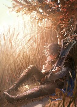 1boy absurdres aonon_040 blue_hair cape closed_eyes closed_mouth commentary_request floating_hair highres holding honkai:_star_rail honkai_(series) hugging_object male_focus on_ground on_tree phainon_(honkai:_star_rail) short_hair sitting solo sunlight sword weapon wheat_field