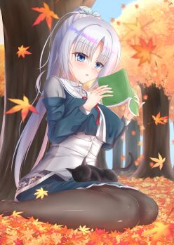 1girl :3 :o animal animal_on_lap aqua_bow aqua_jacket aqua_skirt autumn autumn_leaves black_cat black_pantyhose blue_eyes blurry blush book bow breasts cat cat_on_lap commentary_request day depth_of_field eyelashes eyes_visible_through_hair foot_out_of_frame forest grey_hair hair_between_eyes hair_bow hand_up hands_up highres holding holding_book jacket large_breasts leaf lio_(maguri) long_hair long_sleeves looking_at_viewer maple_leaf nature official_alternate_costume official_alternate_hairstyle on_lap open_book open_mouth outdoors pantyhose ponytail sailor_collar school_uniform senren_banka serafuku shirt signature sitting skirt solo tomotake_yoshino tree very_long_hair wariza whiskers white_sailor_collar white_shirt