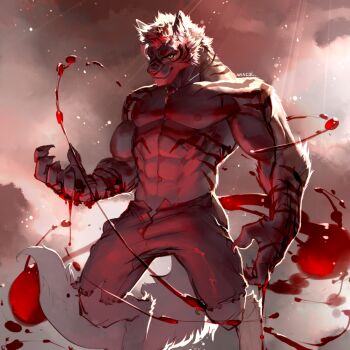 1boy abs animal_ears artist_name bara blood blood_on_hands bulge commentary_request feet_out_of_frame furry furry_male large_hands large_pectorals looking_at_viewer male_focus mature_male muscular muscular_male navel nipples open_fly open_pants original pants pectorals short_hair solo standing stomach tail thick_eyebrows topless_male torn_clothes torn_pants white_fur wincalblanke wolf_boy wolf_ears wolf_tail
