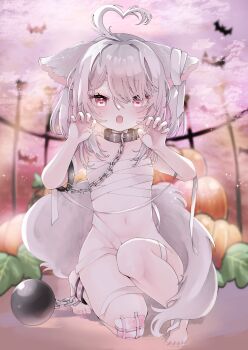 1girl :o animal_ears ball_and_chain_restraint bandaged_chest bandages bat_(animal) bdsm blurry bondage bondage_cuffs bound breasts cat_ears cat_girl cat_tail chain chain_leash chicora claw_pose collar depth_of_field fangs full_body gauze_on_knee highres holding_own_leash indie_virtual_youtuber kneeling leash loli looking_at_viewer medium_hair multicolored_hair naked_bandage navel open_mouth pink_eyes pink_hair pumpkin raised_inner_eyebrows roa_(vtuber) second-party_source slave small_breasts stomach streaked_hair tail two-tone_hair virtual_youtuber white_hair