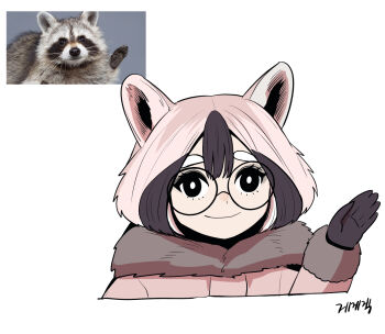 Rule 34 | 1girl, animal ears, black gloves, black hair, bright pupils, center-flap bangs, closed mouth, creature and personification, cropped shoulders, double-parted bangs, gegegekman, glasses, gloves, hand up, highres, looking at viewer, multicolored hair, original, personification, photo inset, pink hair, raccoon, raccoon ears, raccoon girl, reference inset, round eyewear, short hair, simple background, smile, solo, two-tone hair, white background, white pupils
