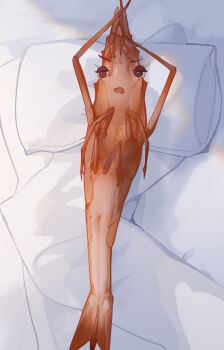 1girl bed bed_sheet brown_eyes crustacean furry furry_female highres luye_yuan lying monster_girl on_back on_bed open_mouth original pillow pussy shrimp shrimp_girl solo what