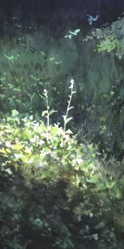 dark day grass highres kazuyuki_hashimoto no_humans object_focus original painting_(medium) plant plant_focus shadow still_life sunlight traditional_media weeds