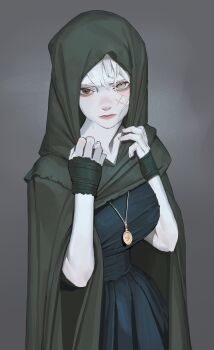 Rule 34 | 1girl, absurdres, breasts, cloak, closed mouth, commentary, english commentary, gold necklace, green cloak, green eyes, grey background, highres, hood, hooded cloak, jewelry, large breasts, looking at viewer, necklace, ori dal, original, pale skin, scar, scar on face, solo, white hair