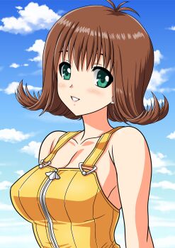 1girl absurdres blue_sky breasts brown_hair cleavage commentary_request final_fantasy final_fantasy_viii flipped_hair green_eyes highres large_breasts looking_at_viewer overalls selphie_tilmitt short_hair sky smile solo yellow_overalls yuuyuu_(3jjbn)