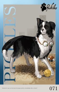 Rule 34 | animal, animal focus, apple, apple (reverse:1999), ball, black bow, black bowtie, blue border, border, border collie, bow, bowtie, building, character name, character signature, commentary, dog, english text, food, fragrance (freakyduck9000), fruit, full body, goggles, goggles around neck, grey background, highres, no humans, paw print, pickles (reverse:1999), reverse:1999, solo, stone floor, traditional bowtie
