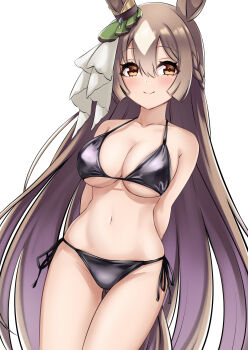 1girl absurdres animal_ears bikini black_bikini braid breasts brown_hair closed_mouth collarbone cowboy_shot double-parted_bangs ear_ornament hair_between_eyes half_up_braid herohero_(higashi_no_dou) highres horse_ears horse_girl horse_tail large_breasts long_hair looking_at_viewer multicolored_hair navel satono_diamond_(umamusume) side-tie_bikini_bottom smile solo streaked_hair swimsuit tail third-party_source umamusume very_long_hair