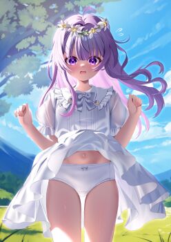 1girl bow bow_panties character_request clothes_lift collared_dress commentary_request commission copyright_request cowboy_shot crotch_seam day dress dress_lift frilled_dress frills garimayo hands_up head_wreath highres looking_at_viewer navel open_mouth outdoors panties pantyshot purple_eyes purple_hair short_sleeves skeb_commission solo standing straight-on underwear wavy_mouth white_dress white_panties wind wind_lift wispy_bangs