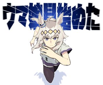 1girl absurdres ahoge animal_ears black_pantyhose blue_eyes blue_shorts closed_mouth commentary ear_ornament emphasis_lines foreshortening frown grey_hair gym_shirt gym_shorts hair_ornament highres horse_ears horse_girl kasamatsu_tracen_training_uniform long_hair mona_(monaka) oguri_cap_(umamusume) pantyhose pantyhose_under_shorts ponytail race_bib racing running shirt short_sleeves shorts solo sweat t-shirt text_background translated umamusume umamusume:_cinderella_gray white_shirt