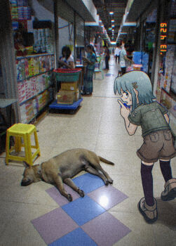 1girl 6+others black_thighhighs blue_eyes blue_hair boots brown_boots brown_shorts dog finger_to_mouth hair_ornament hairclip index_finger_raised indoors looking_at_viewer mahou_shoujo_madoka_magica mahou_shoujo_madoka_magica_(anime) miki_sayaka multiple_others okai_(pixiv6333) open_mouth photo_background short_hair shorts shushing stool sweatdrop thighhighs