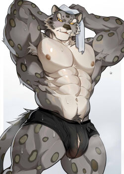 1boy abs ao_(chung0u0) armpit_hair armpits arms_up bara biceps black_male_underwear boxer_briefs bulge commentary drying drying_hair drying_own_hair english_commentary fangs furry furry_male highres kung_fu_panda looking_at_viewer male_focus male_underwear muscular muscular_male navel nipples open_mouth pectorals penis penis_peek snow_leopard_boy snow_leopard_ears snow_leopard_tail spotted_fur tai_lung topless_male underwear wet white_background