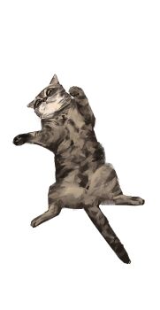 animal_focus british_shorthair cat commentary commission english_commentary from_above full_body highres junbuug lying no_humans on_back original painterly simple_background white_background