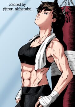 1girl abs absurdres breasts colorized commentary english_commentary english_text highres iron_alchemist looking_up medium_breasts muscular muscular_female parted_lips punching_bag saotome_senshu_hita_kakusu saotome_yae short_hair solo sports_bra sweat third-party_edit tomboy towel towel_around_neck
