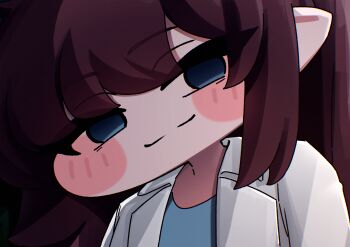 1girl absurdres blue_eyes blue_shirt blush brown_hair chibi chibi_only closed_mouth coat commentary_request elena_(trickcal) elf head_tilt highres korean_commentary lab_coat long_hair looking_at_viewer open_clothes open_coat pointy_ears pyeong_il shirt smile solo trickcal upper_body white_coat