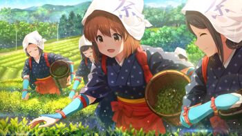 4girls basket black_kimono brown_eyes brown_hair commentary_request day farming field game_cg hagiwara_yukiho headscarf holding holding_basket idolmaster idolmaster_(classic) idolmaster_million_live! idolmaster_million_live!_theater_days japanese_clothes kimono multiple_girls official_art open_mouth outdoors red_skirt short_hair short_sleeves skirt smile standing tea_leaves third-party_source wicker_basket